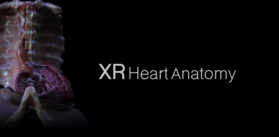 XR Heart Anatomy