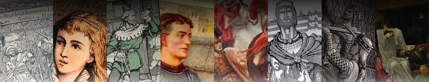 Collage of pictures from the collections in Robbins