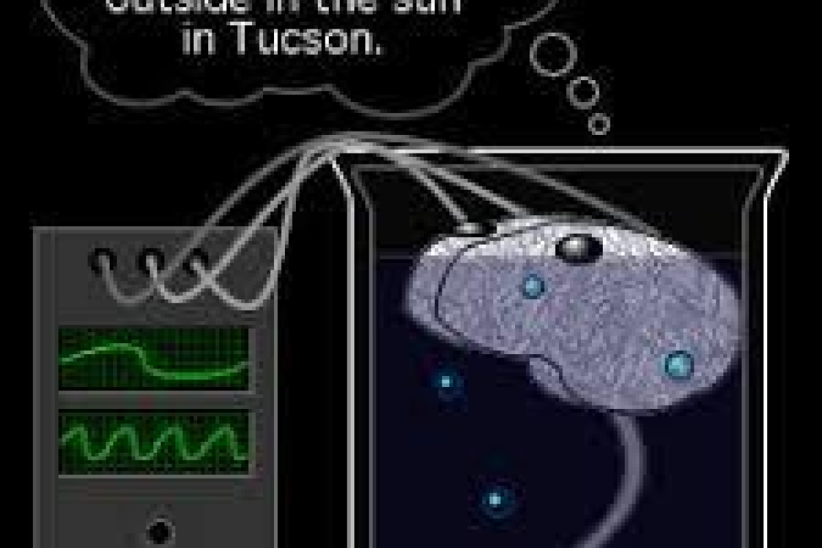 Brain Connected
