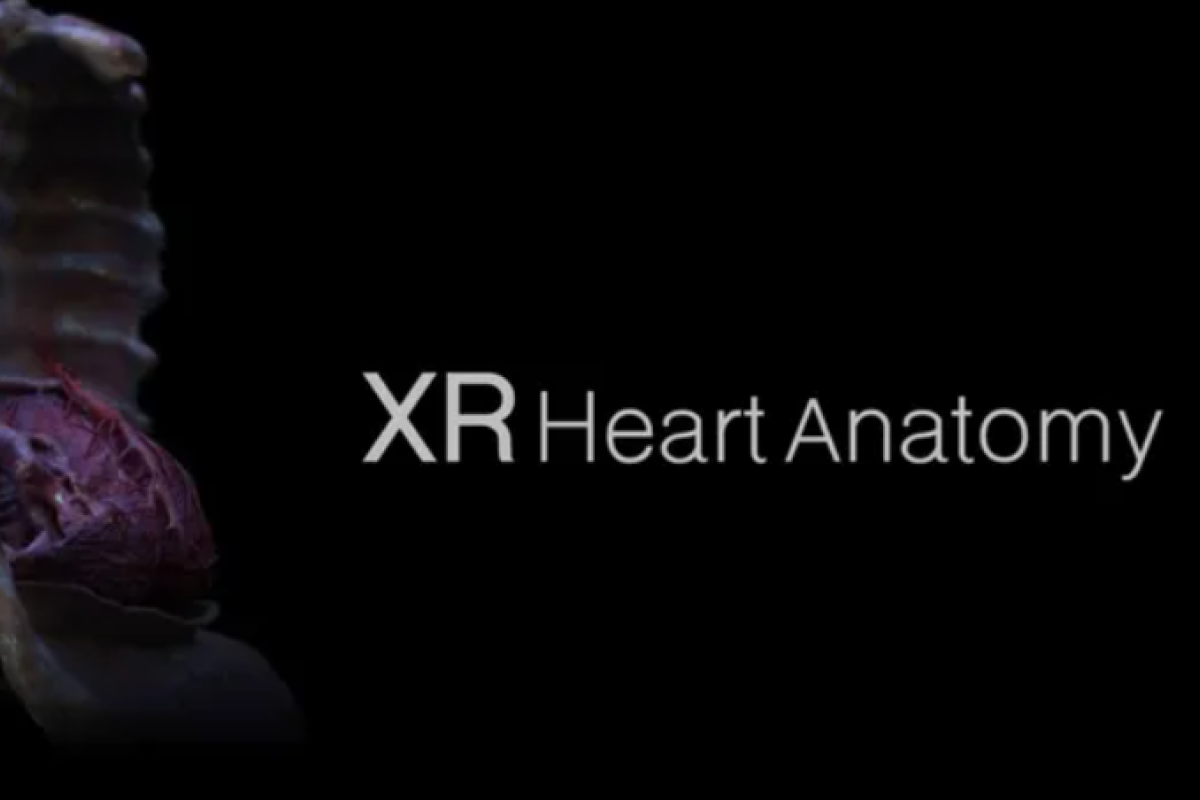 XR Heart Anatomy