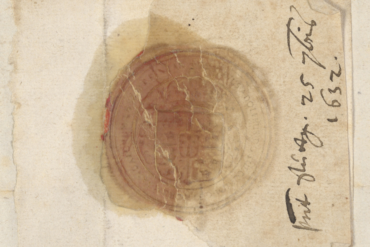 close-up on seal