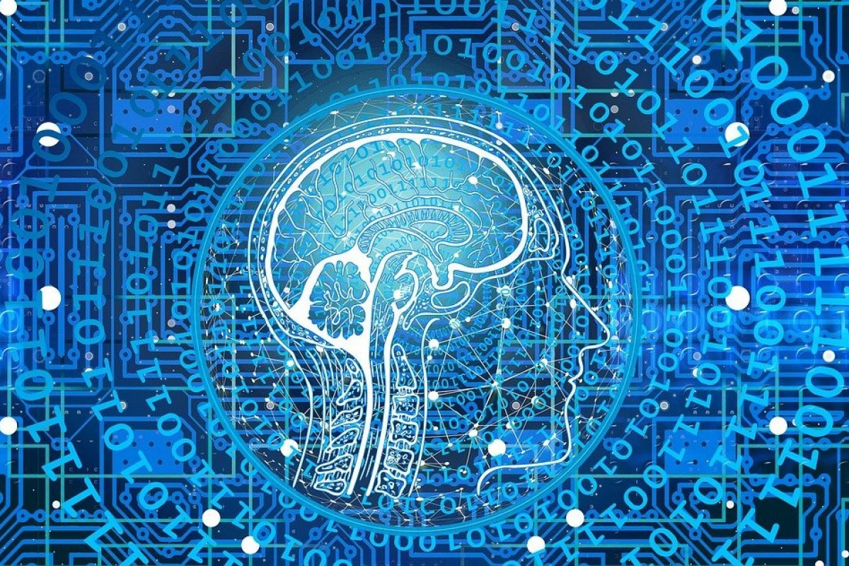 A blue network of lines and bright points that could be the inner-workings of AI; at the center there's an outline of a human head and brain