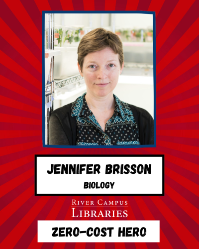 Jennifer Brisson, Professor of Biology