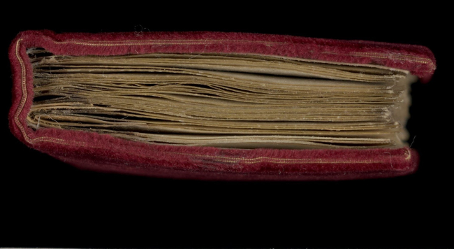 Cross-section view of a manuscript devotional miscellany