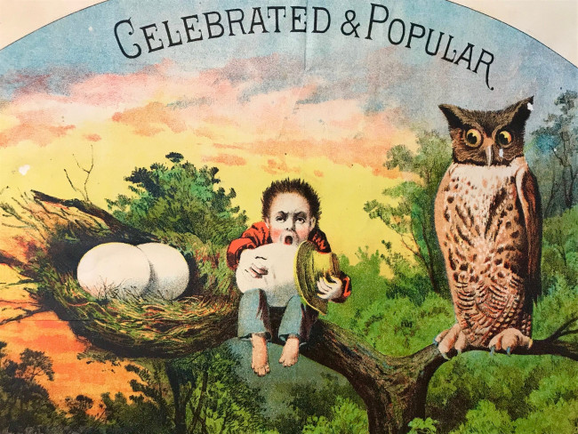 trade card of child sitting on tree branch between an owl and a bird's nest with eggs