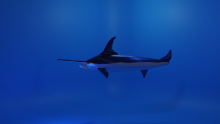 3D modeled sword fish.