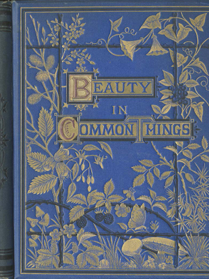 Beauty For Commerce: Beauty in Common Things